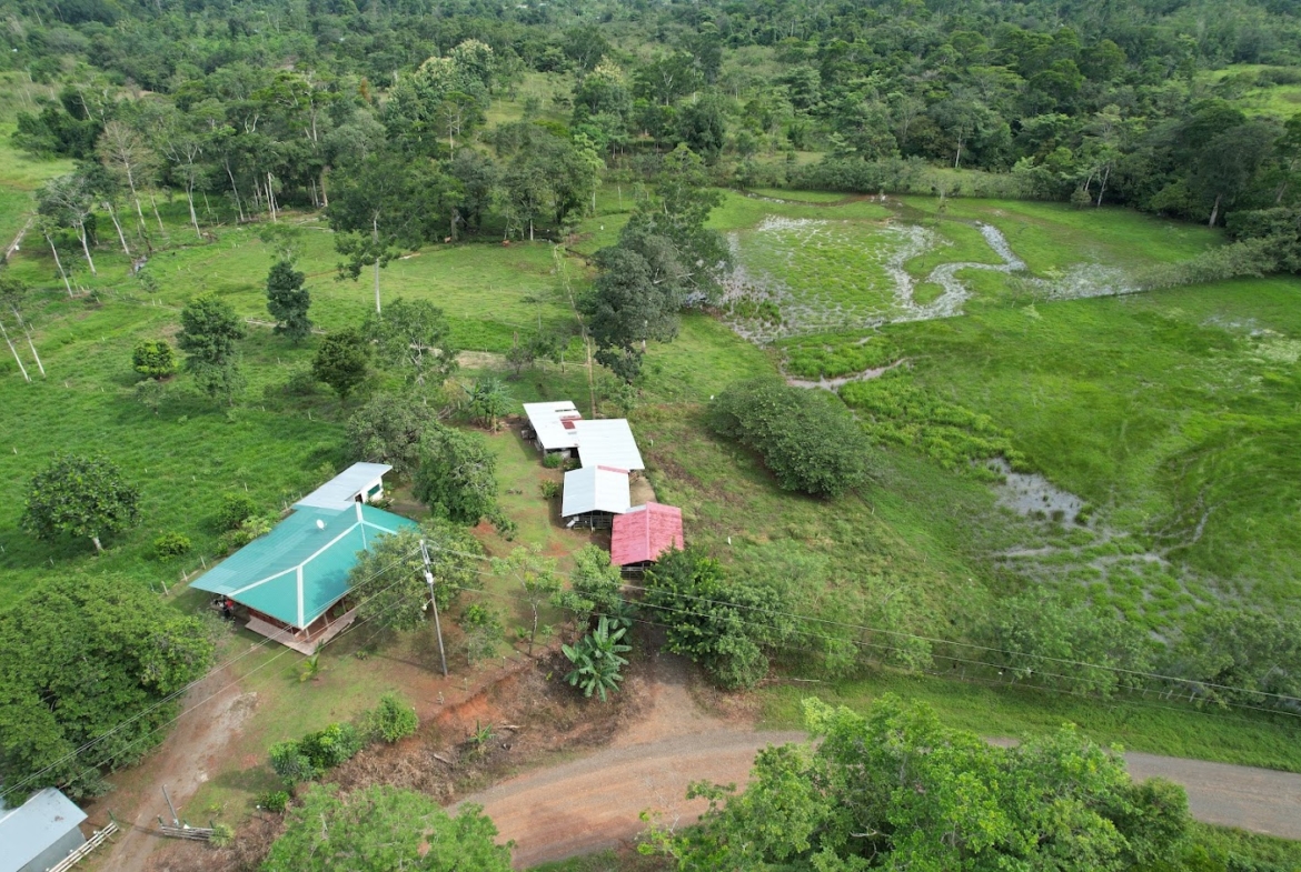 Finca Lechera en Costa Rica